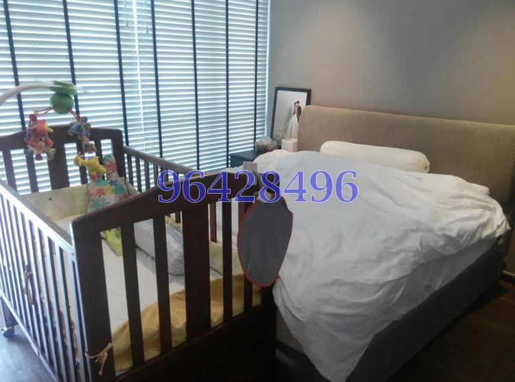 The Sunny Spring (D14), Apartment #80437222